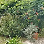Villa Pare Gabea - 2 Chambres, Jardin Privatif 600M2 - Anglet Anglet