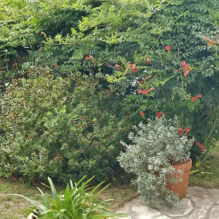 Pare Gabea - 1 Ou 2 Chambres, Jardin Privatif 600m2 - Anglet