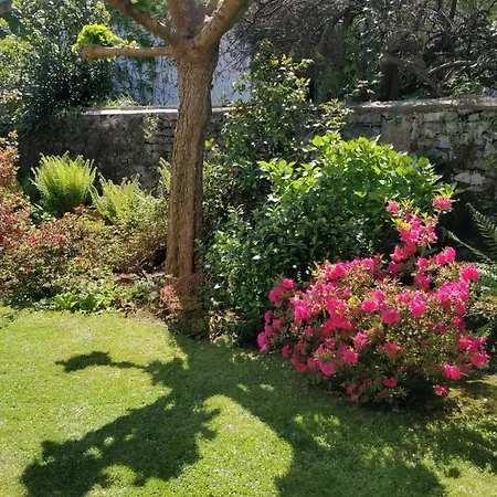 Apartment T1 Ou T2 Dans Avec Jardin Proche Biarritz *