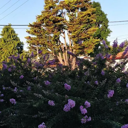 T1 Ou T2 Dans Avec Jardin Proche Biarritz *