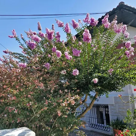 T1 Ou T2 Dans Avec Jardin Proche Biarritz Apartment *