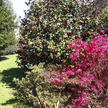 Apartment T1 Ou T2 Dans Avec Jardin Proche Biarritz Anglet