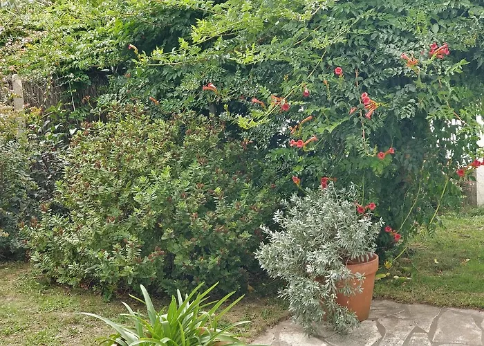 Villa Pare Gabea - 2 Chambres, Jardin Privatif 600M2 - Anglet Anglet