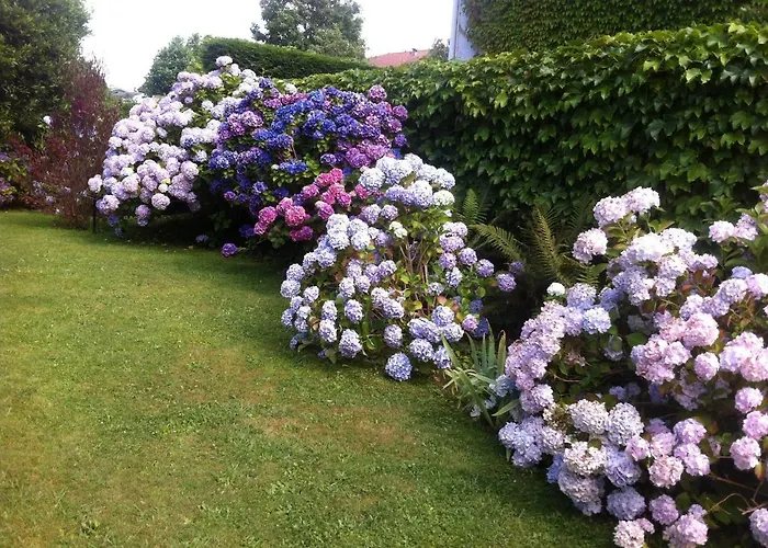 Apartmán T1 Ou T2 Dans Avec Jardin Proche Biarritz Anglet